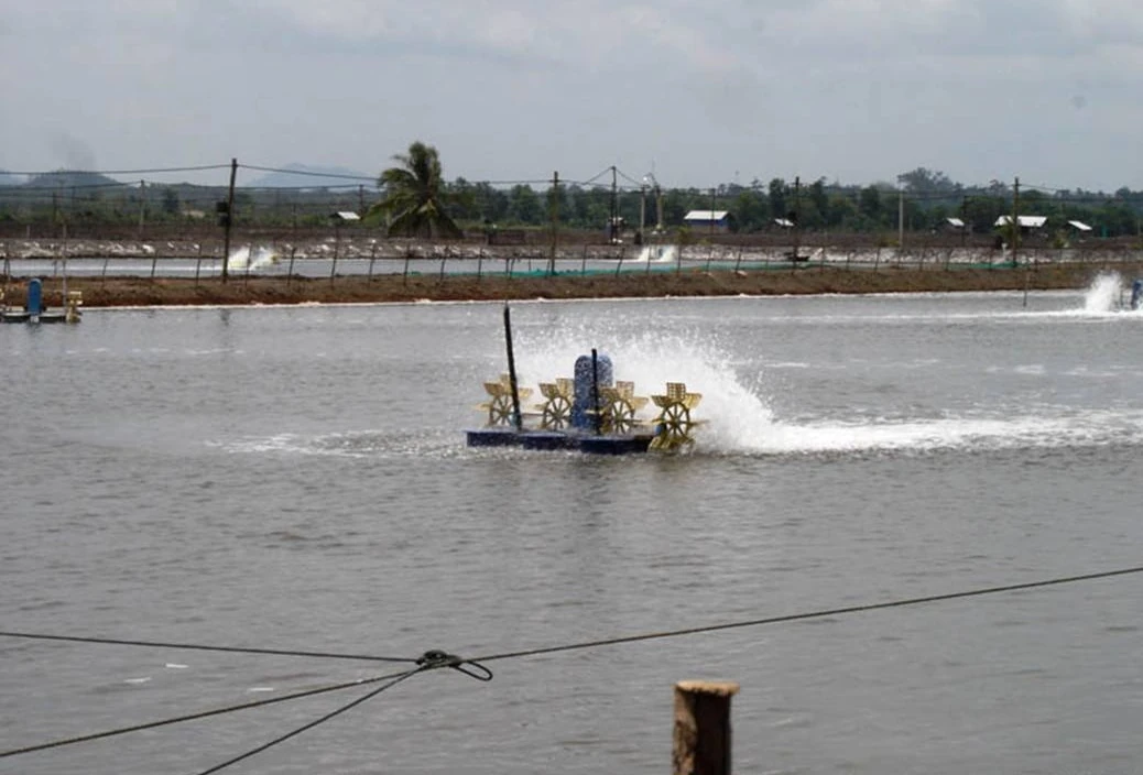 A shrimp pond with aerators in Indonesia on September 29, 2007. Archive illustration of shrimp farming, not the Cà Mau Shrimp Festival.