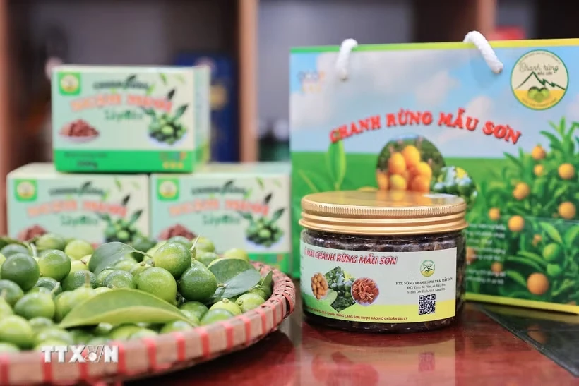 Sản phẩm từ chanh rừng Mẫu Sơn trong ảnh minh họa của TTXVN.