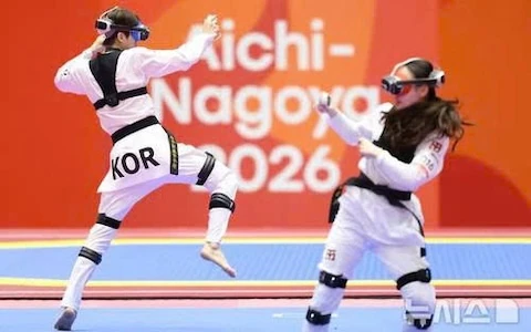 An image of virtual taekwondo equipment used in the article.
