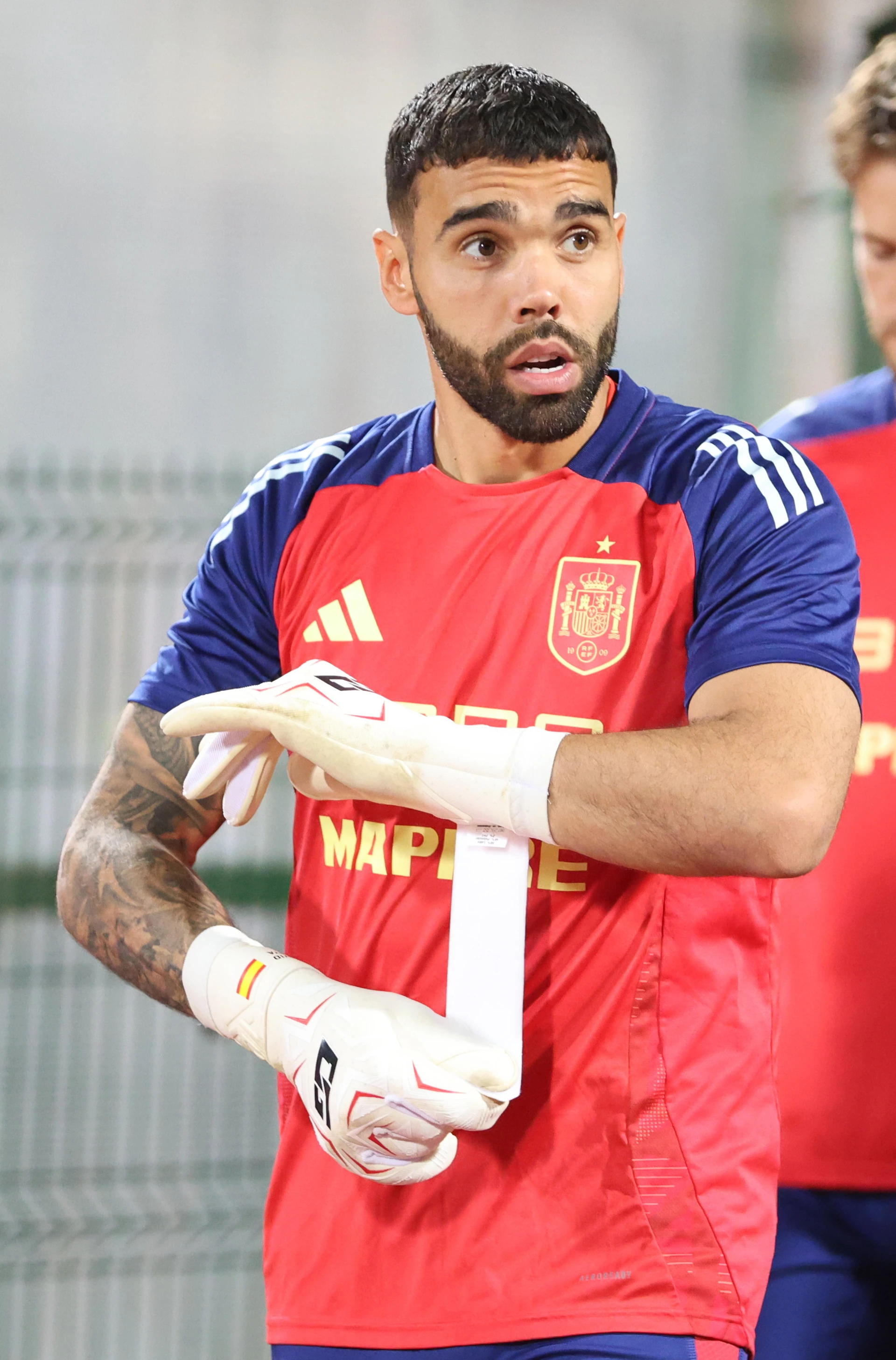 David Raya in a 2025 file photograph.